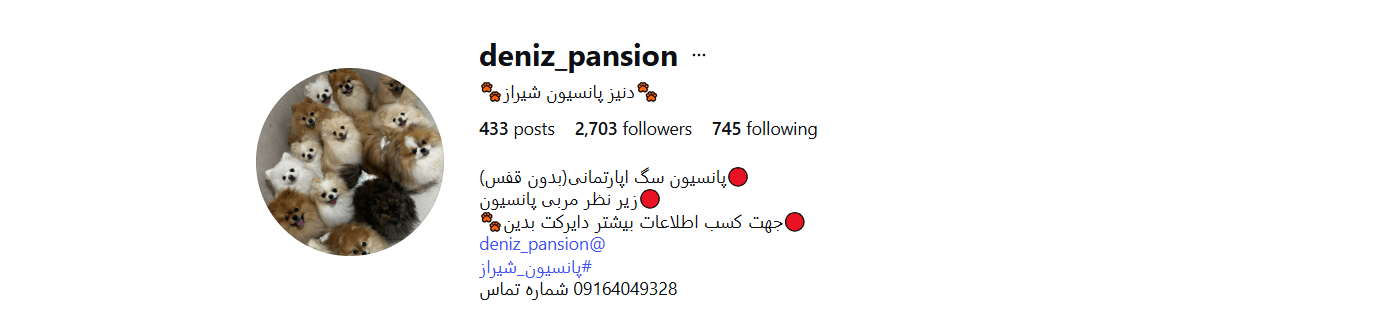 دنیز پانسیون شیراز