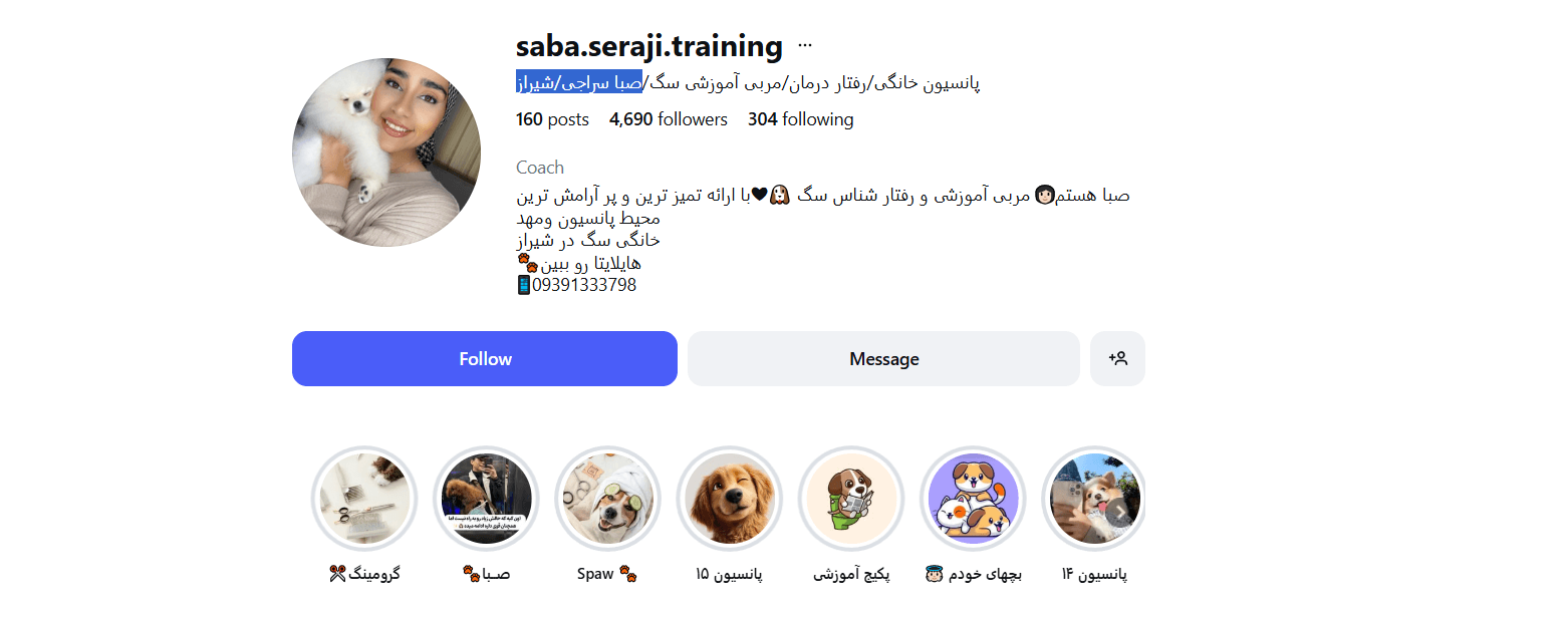 پانسیون ومهد صبا سراجی شیراز