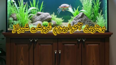 آکواریوم فروشی شیراز