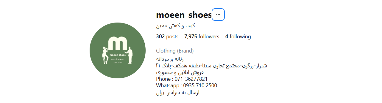 کفش چرم معین