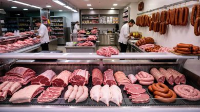 بهترین فروشگاه های پروتئینی شیراز