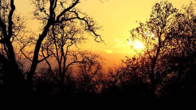 جاهای دیدنی یاسوج