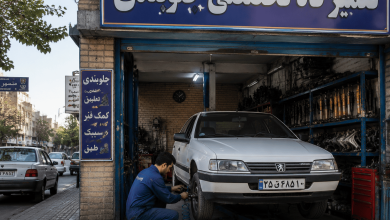جلوبندی شیراز
