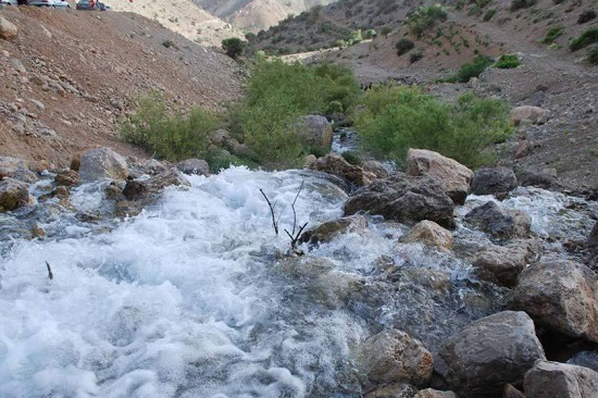 چشمه میشی یاسوج