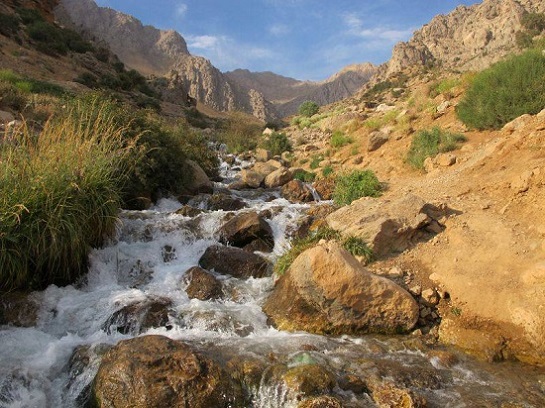 چشمه میشی یاسوج