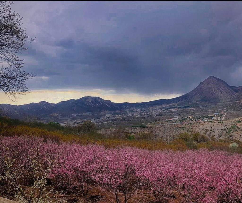 روستای کوخدان یاسوج