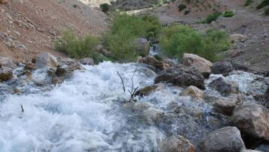 چشمه میشی یاسوج